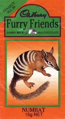 A numbat